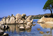 多特蒙德连胜告终实力受挑战