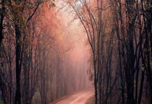 九游体育官网-那不勒斯主场大捷，紧咬领头羊节奏，那不勒斯集锦